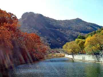 管家婆黑白马报图库，油锯价格